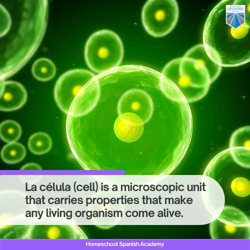 La célula (cell) is a microscopic unit that carries properties that make any living organism come alive.