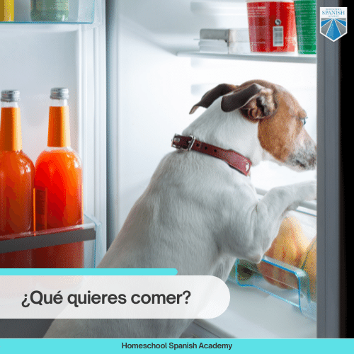 ¿Qué quieres comer? - 100 common Spanish verbs / comer