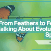 From Feathers to Fossils: Talking About Evolution in Spanish