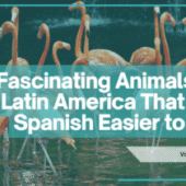 10 Fascinating Animals from Latin America That Make Spanish Easier to Learn (Yes, Really)